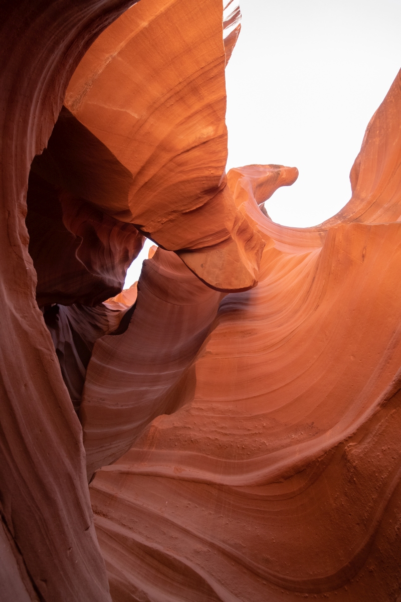DSC_1365.jpg