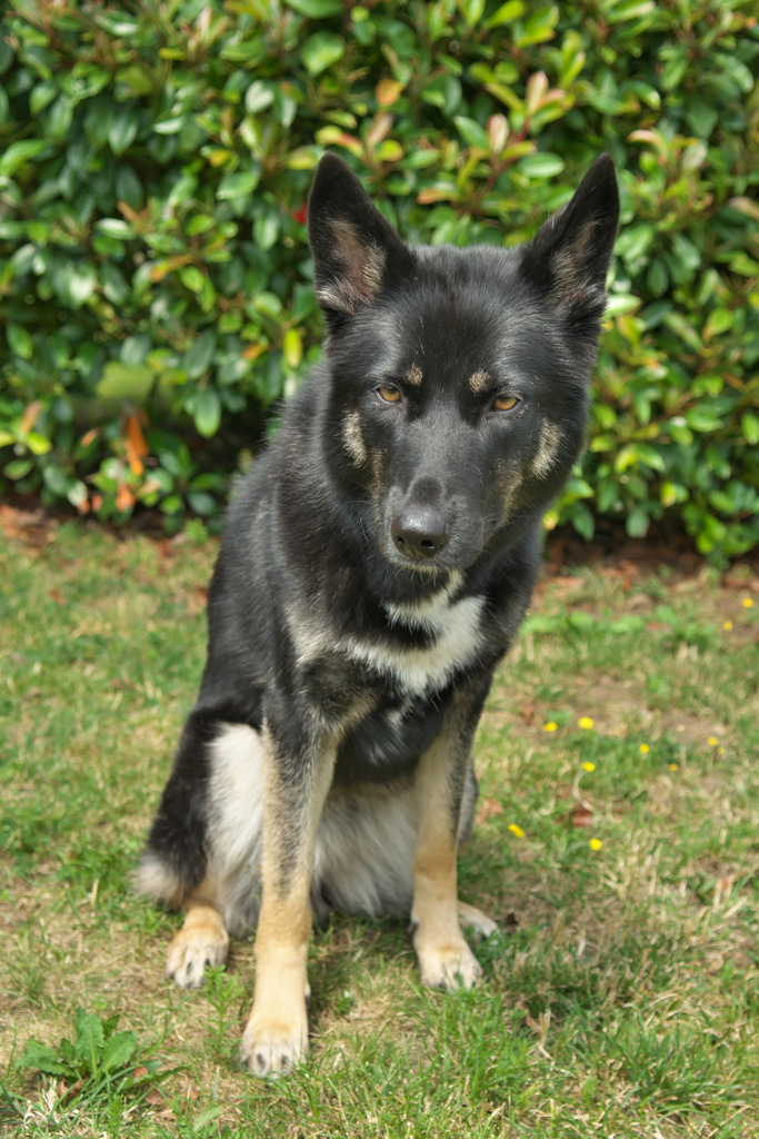 DSC_1367.jpg