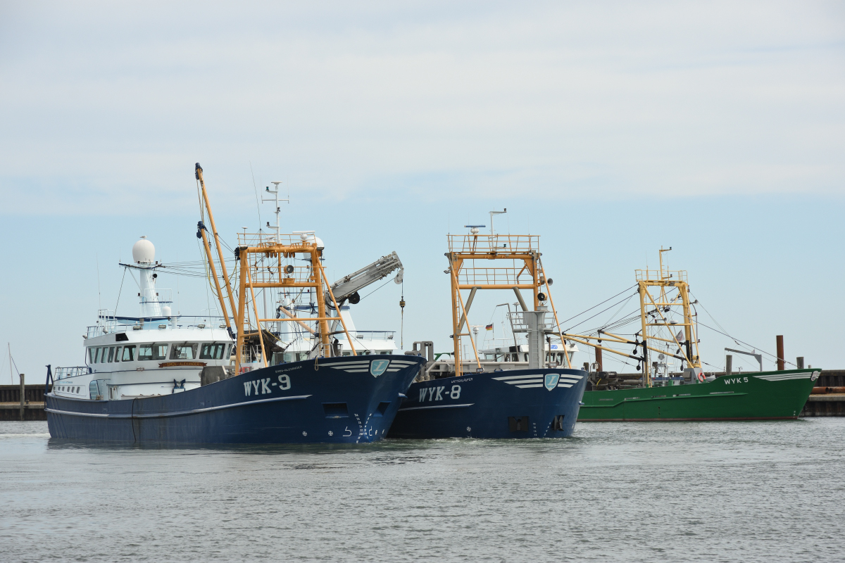 DSC_1376.JPG