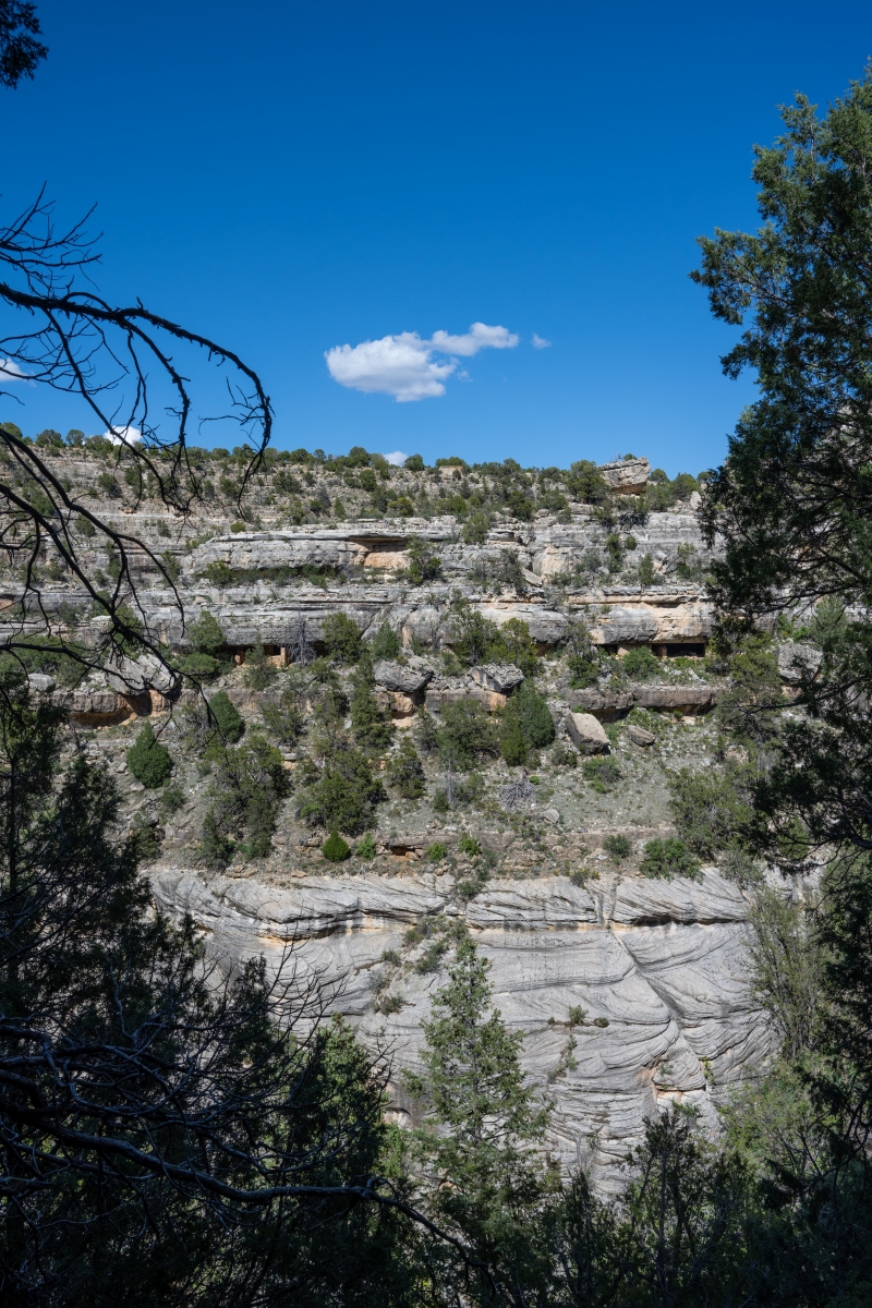 DSC_1394.jpg