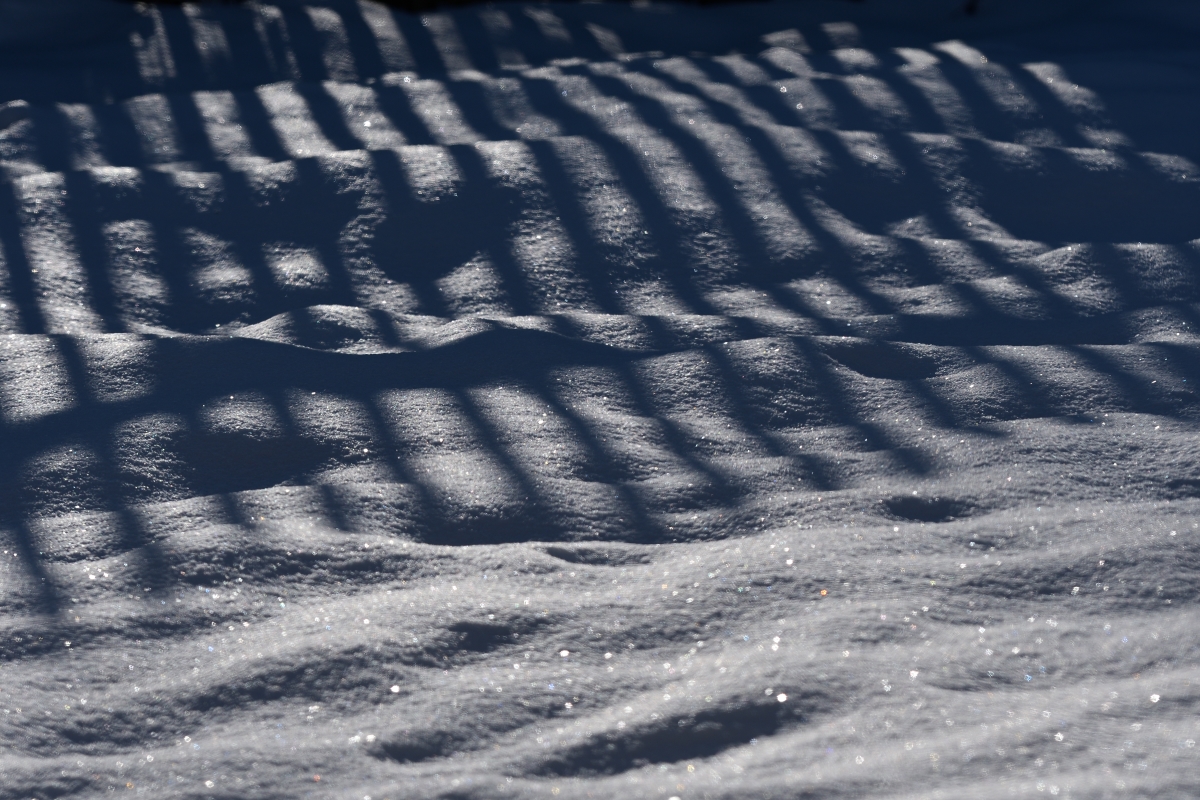 DSC_1401_00001n.jpg