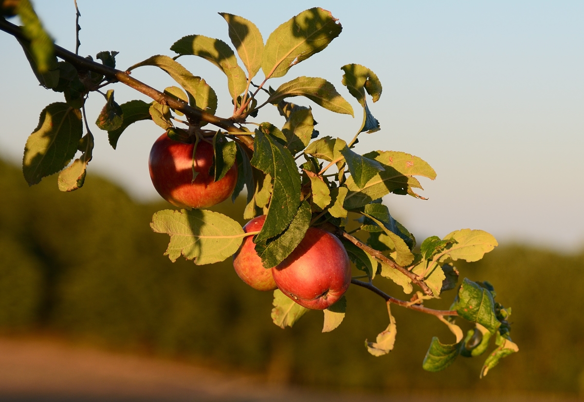 full