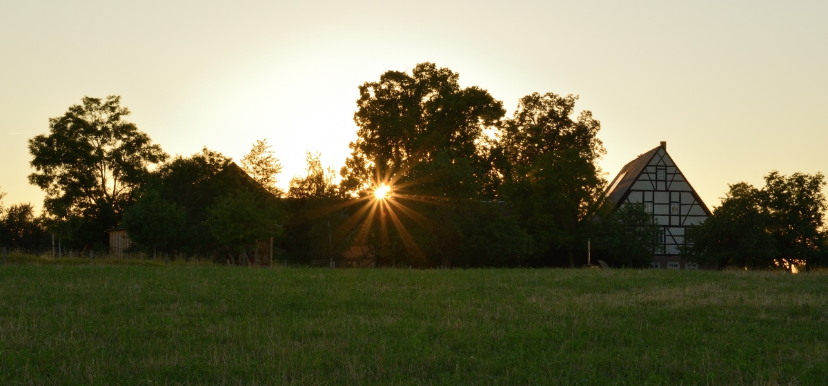 DSC_1408_00001n.jpg
