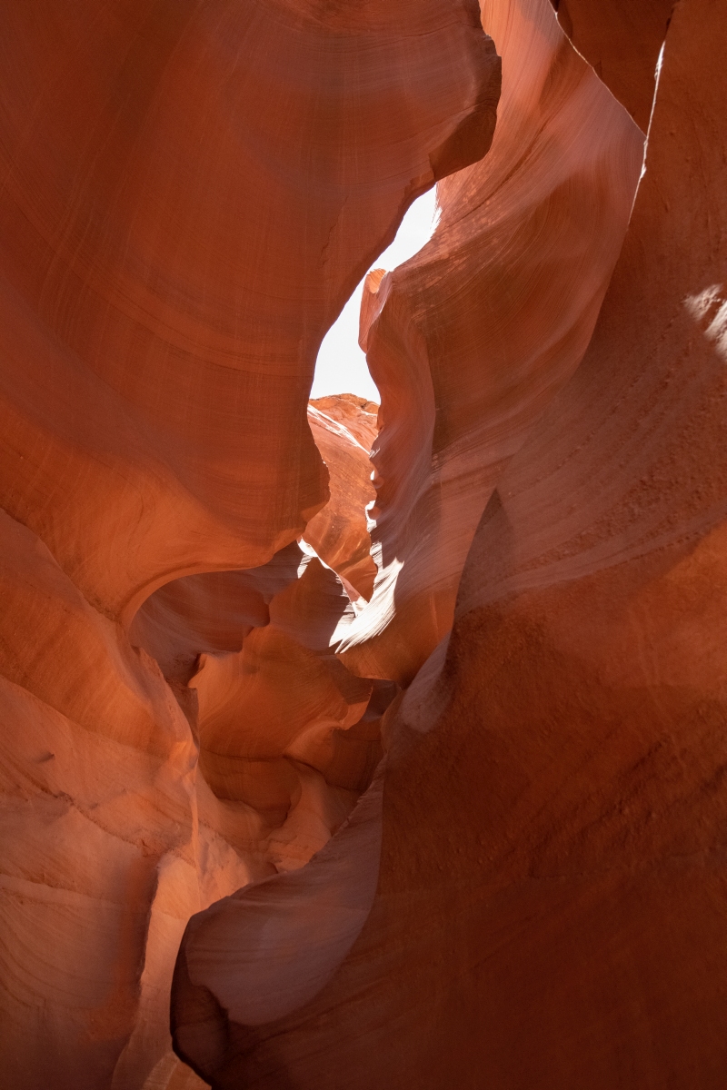 DSC_1413.jpg