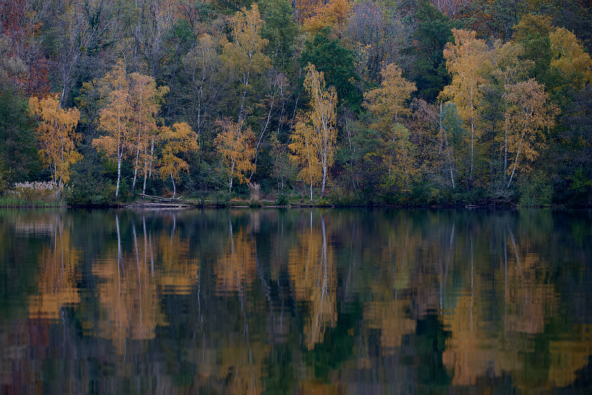 DSC_1437-2.jpg