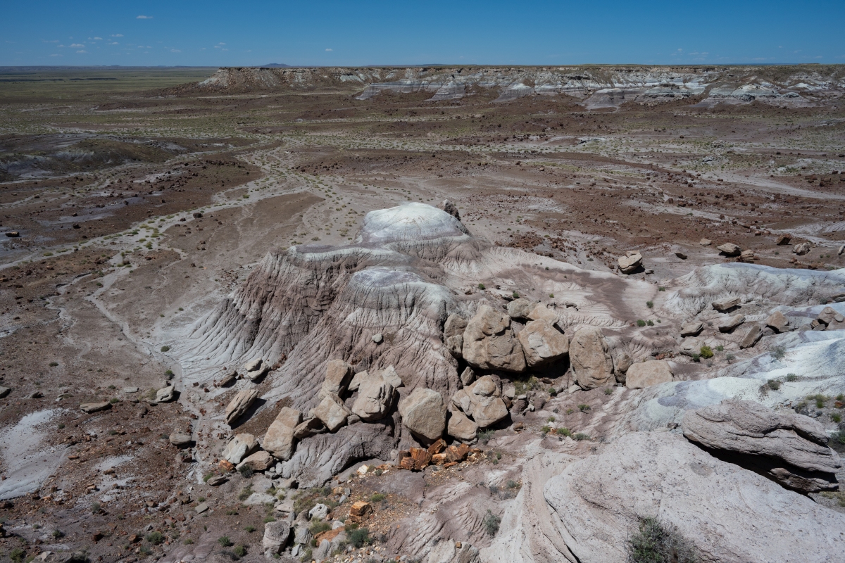 DSC_1437.jpg