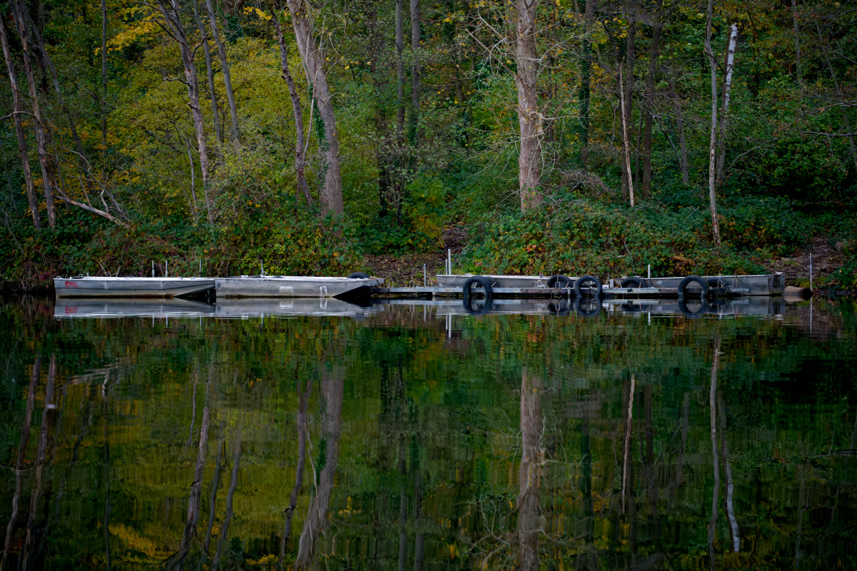 DSC_1444.jpg