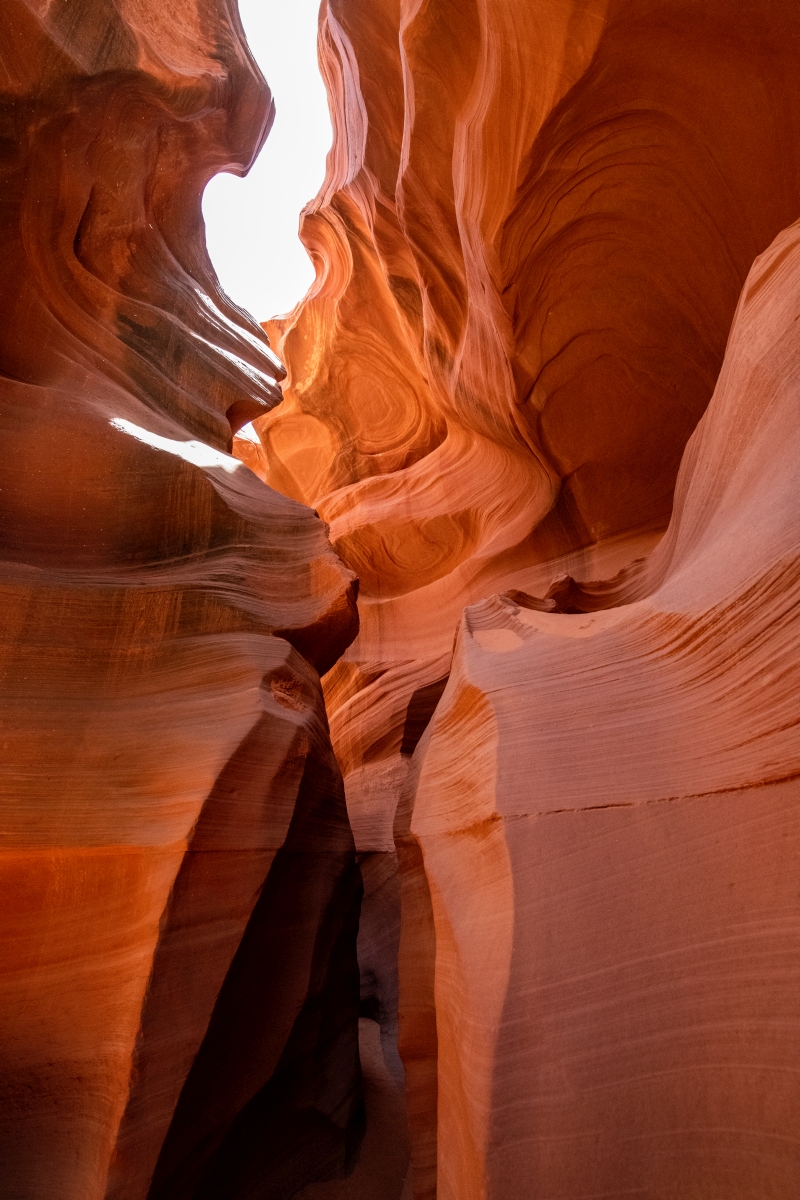 DSC_1450.jpg