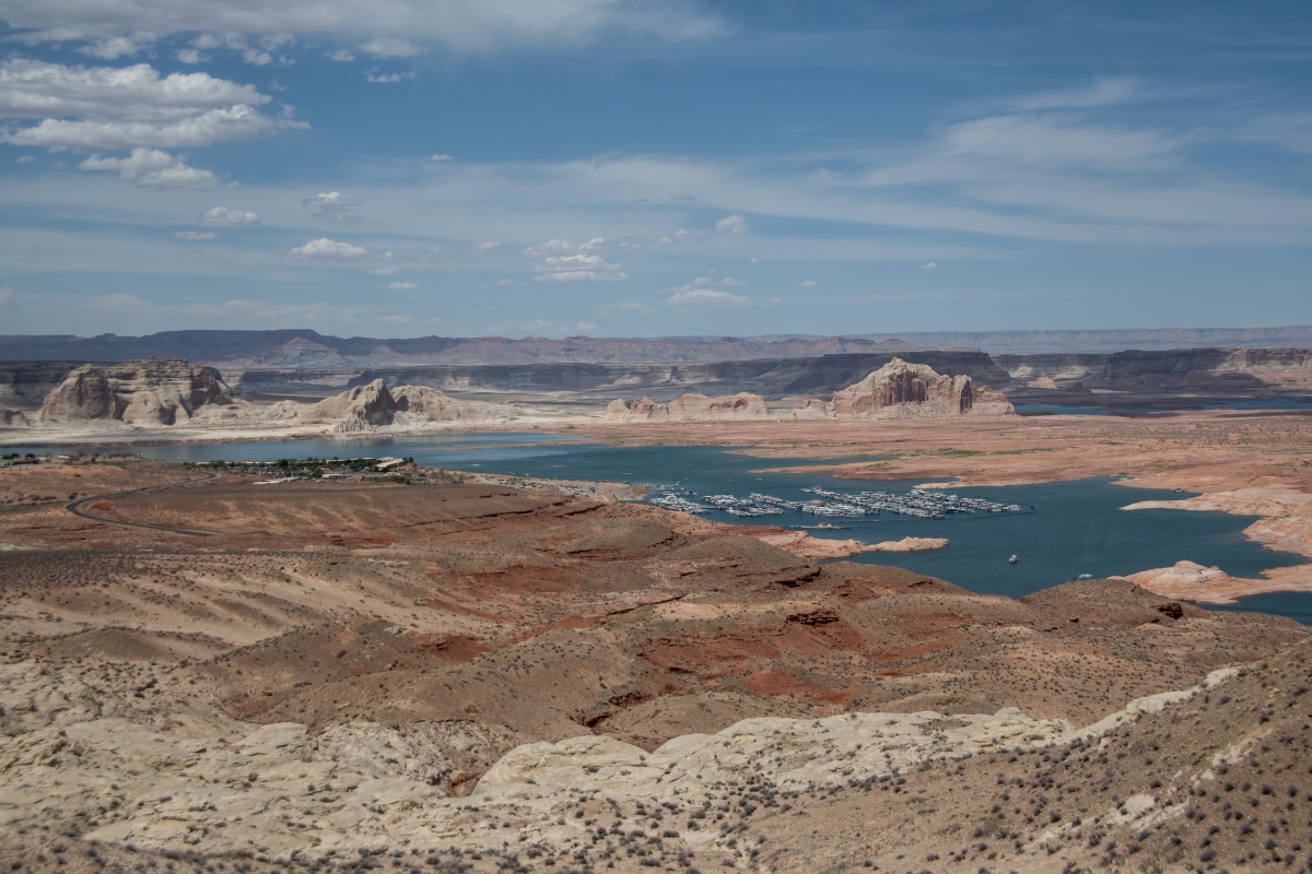 DSC_1462.jpg
