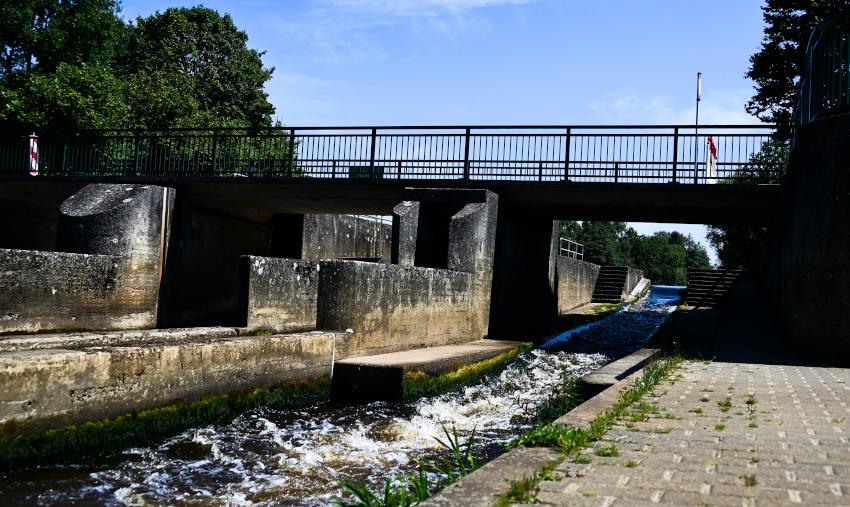 DSC_1467-20240720.jpg