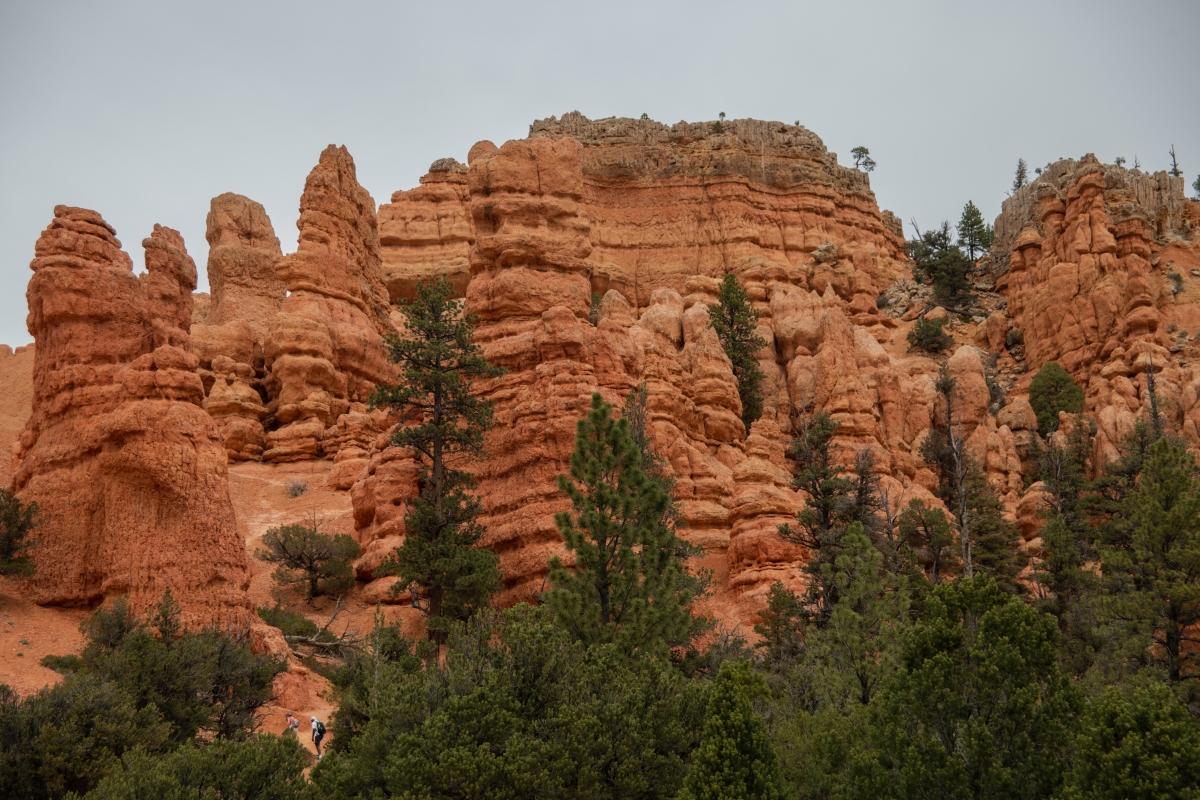 DSC_1468.jpg