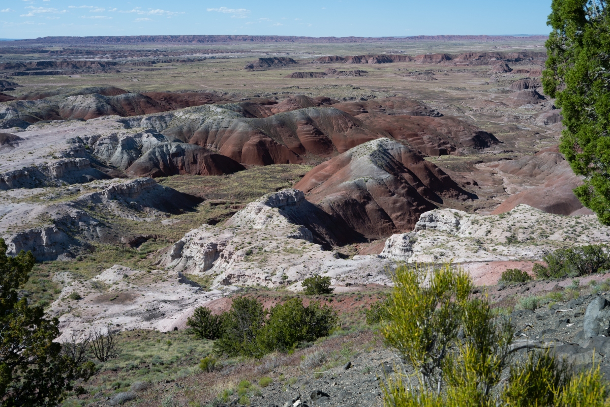 DSC_1468.jpg
