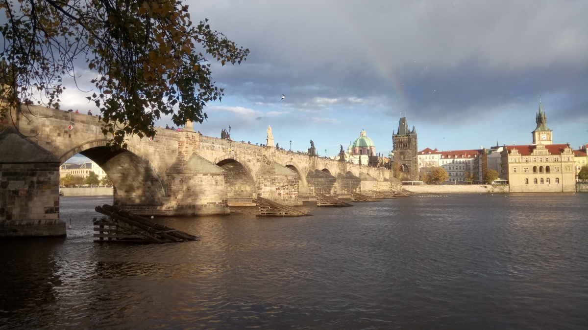 DSC_1472n.JPG