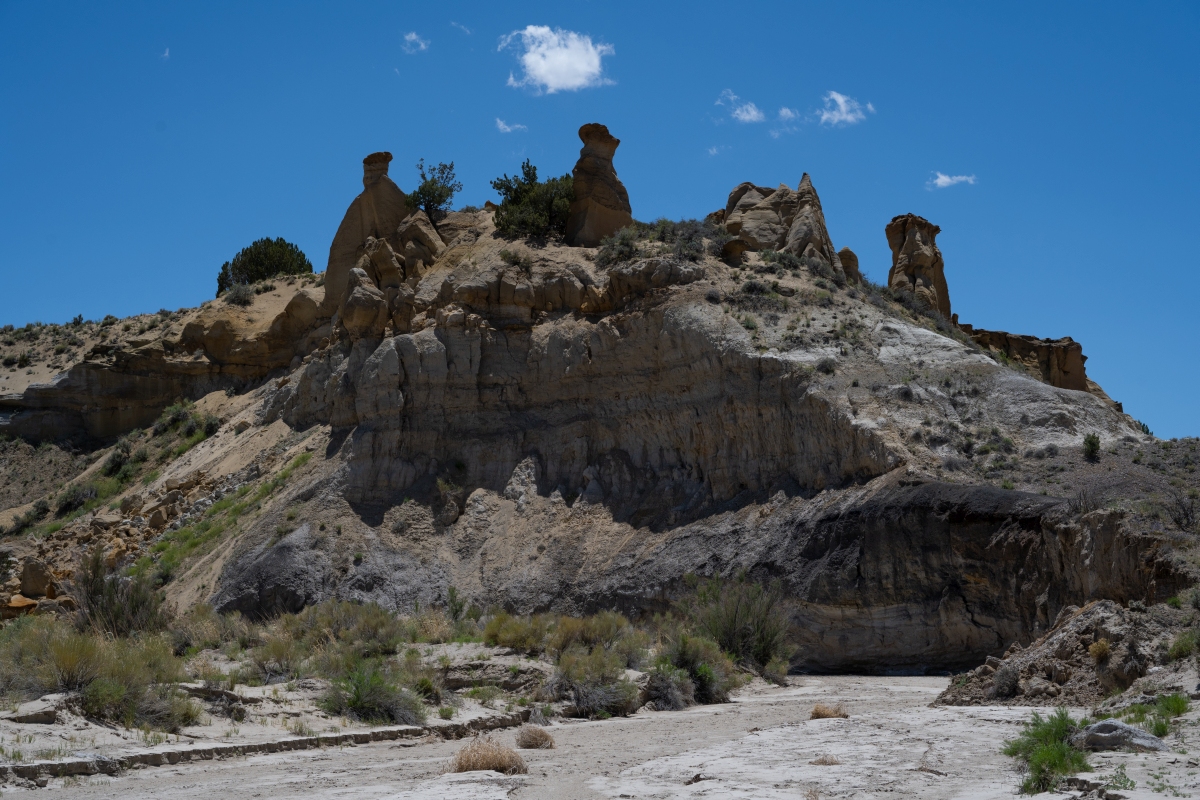 DSC_1495.jpg