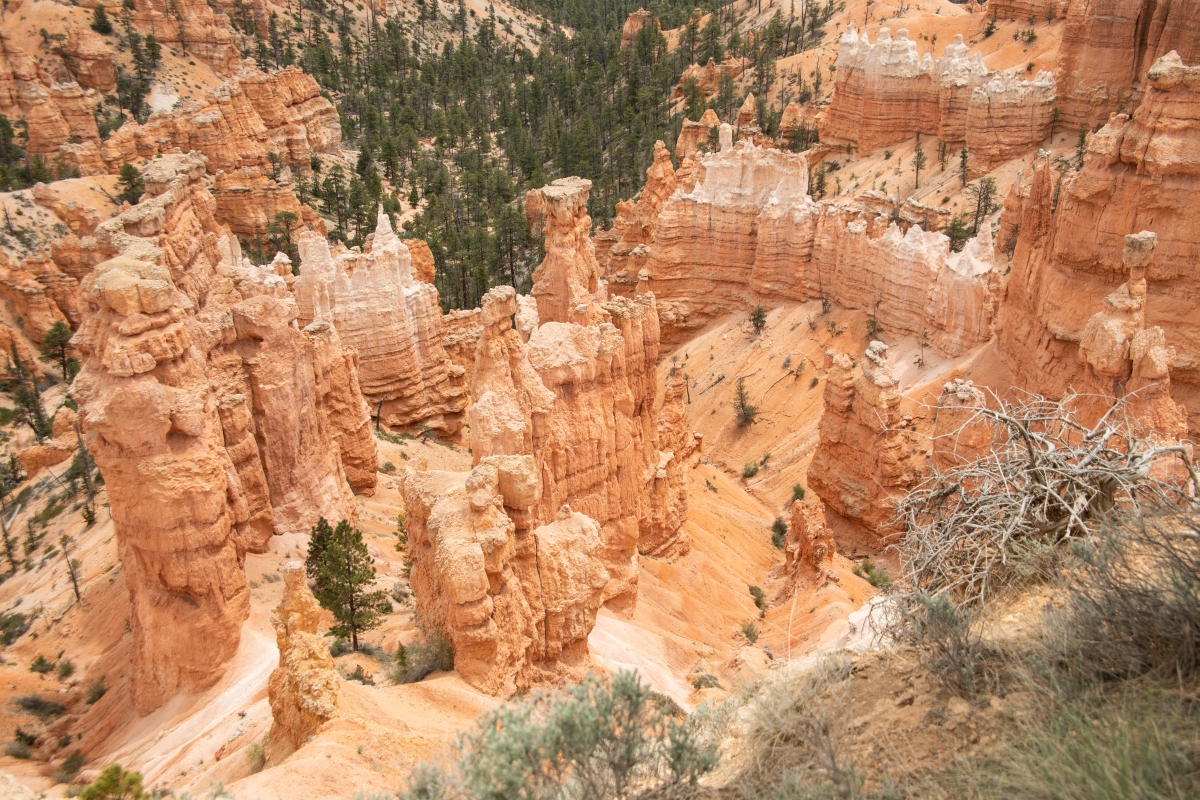 DSC_1497.jpg