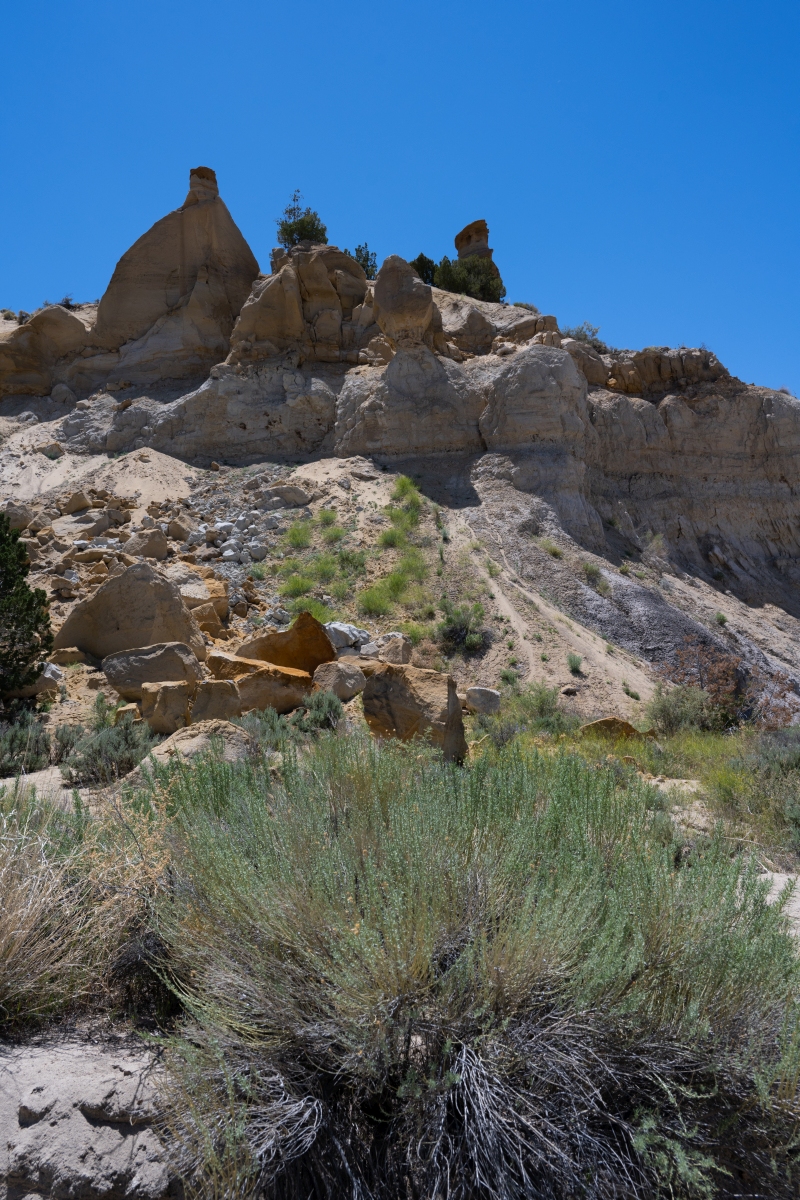 DSC_1497.jpg