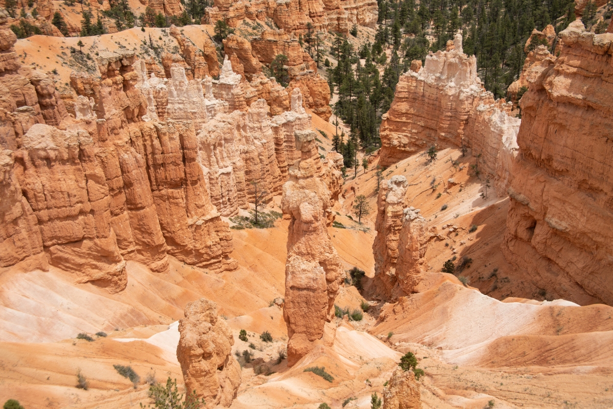 DSC_1503.jpg