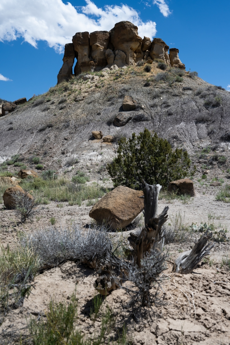 DSC_1503.jpg