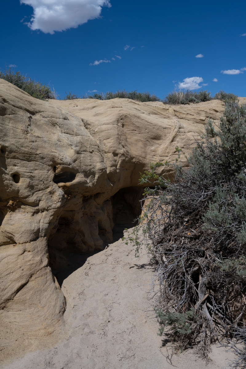 DSC_1507.jpg