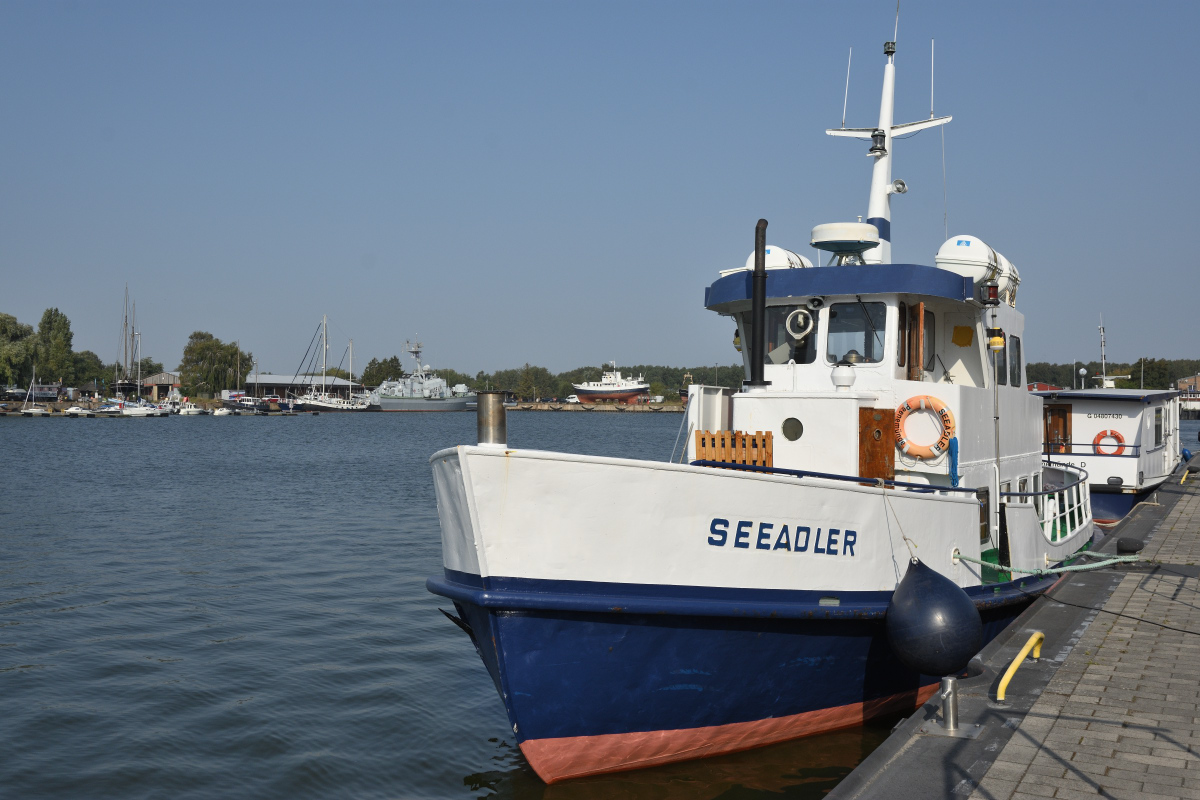 DSC_1507.JPG