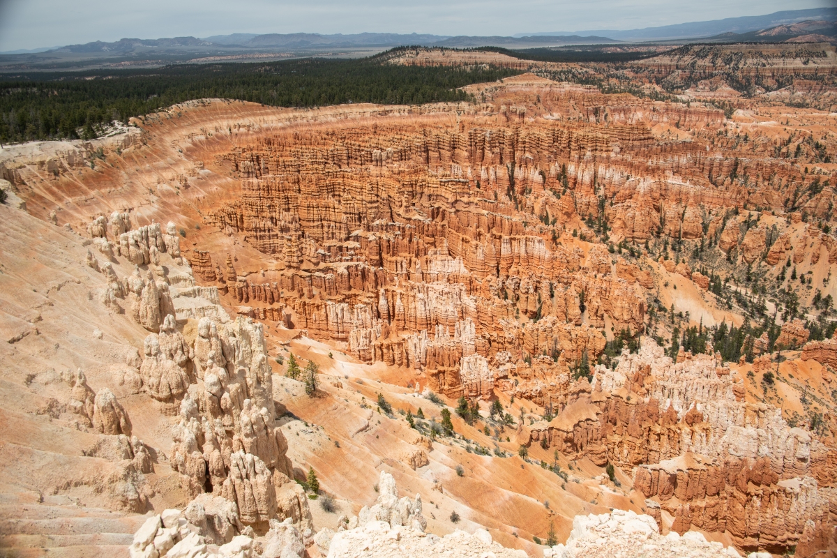 DSC_1508.jpg