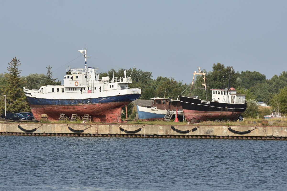 DSC_1510.JPG