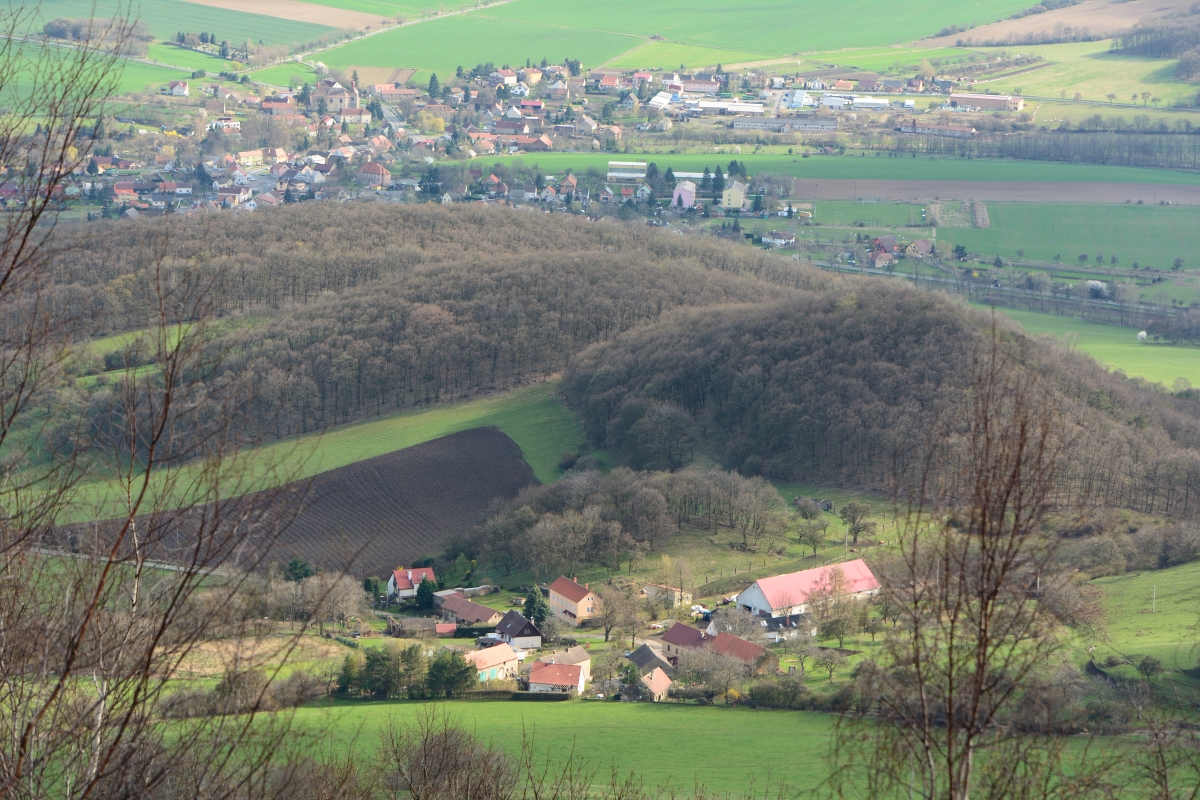 DSC_1512_00041n.jpg