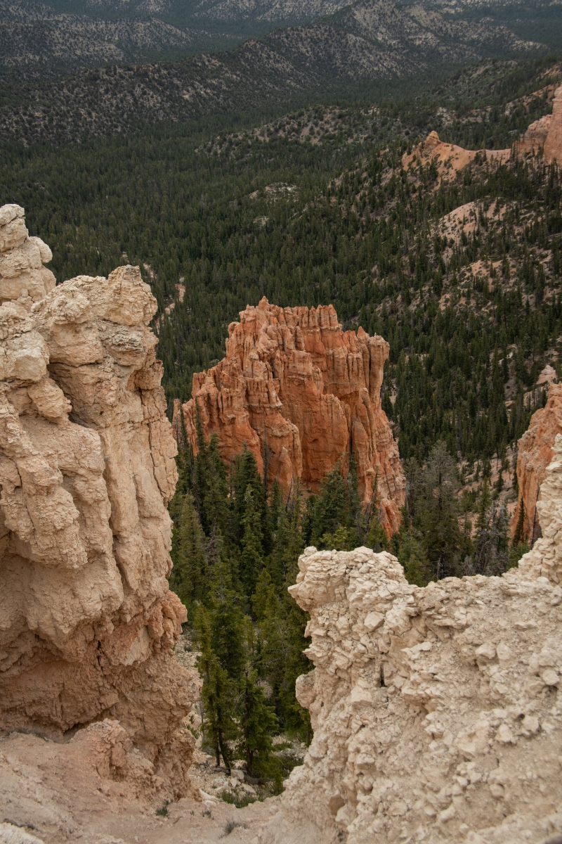 DSC_1513.jpg
