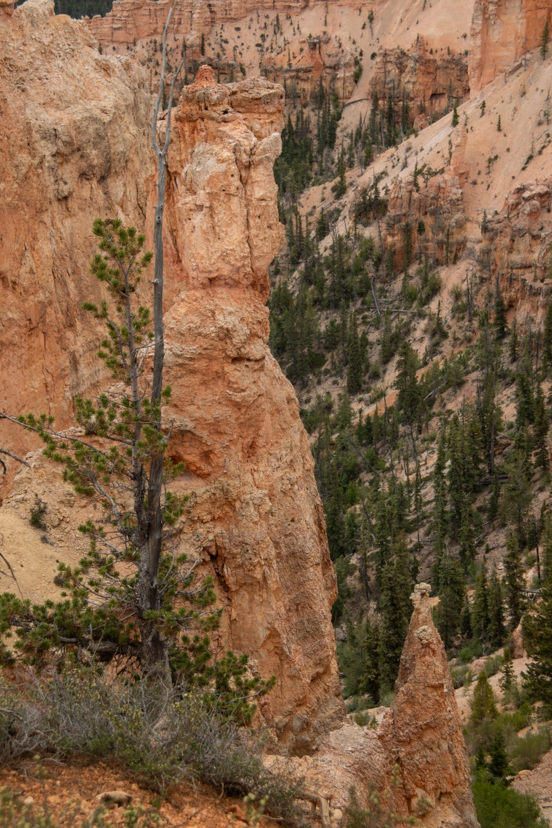 DSC_1518.jpg