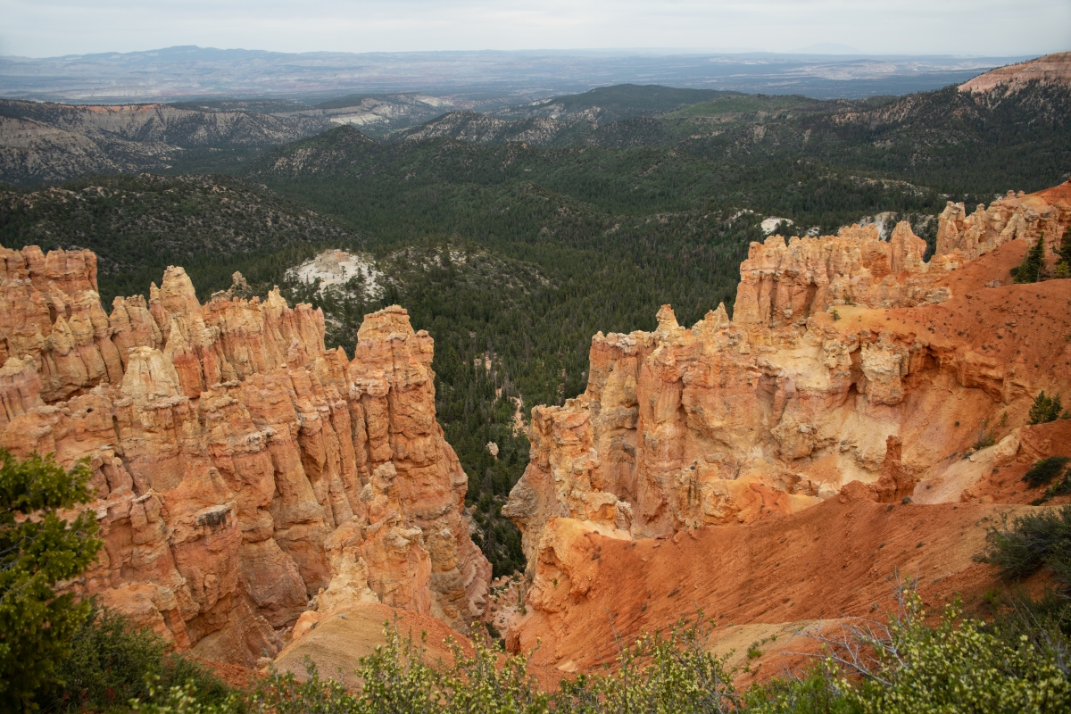 DSC_1520.jpg