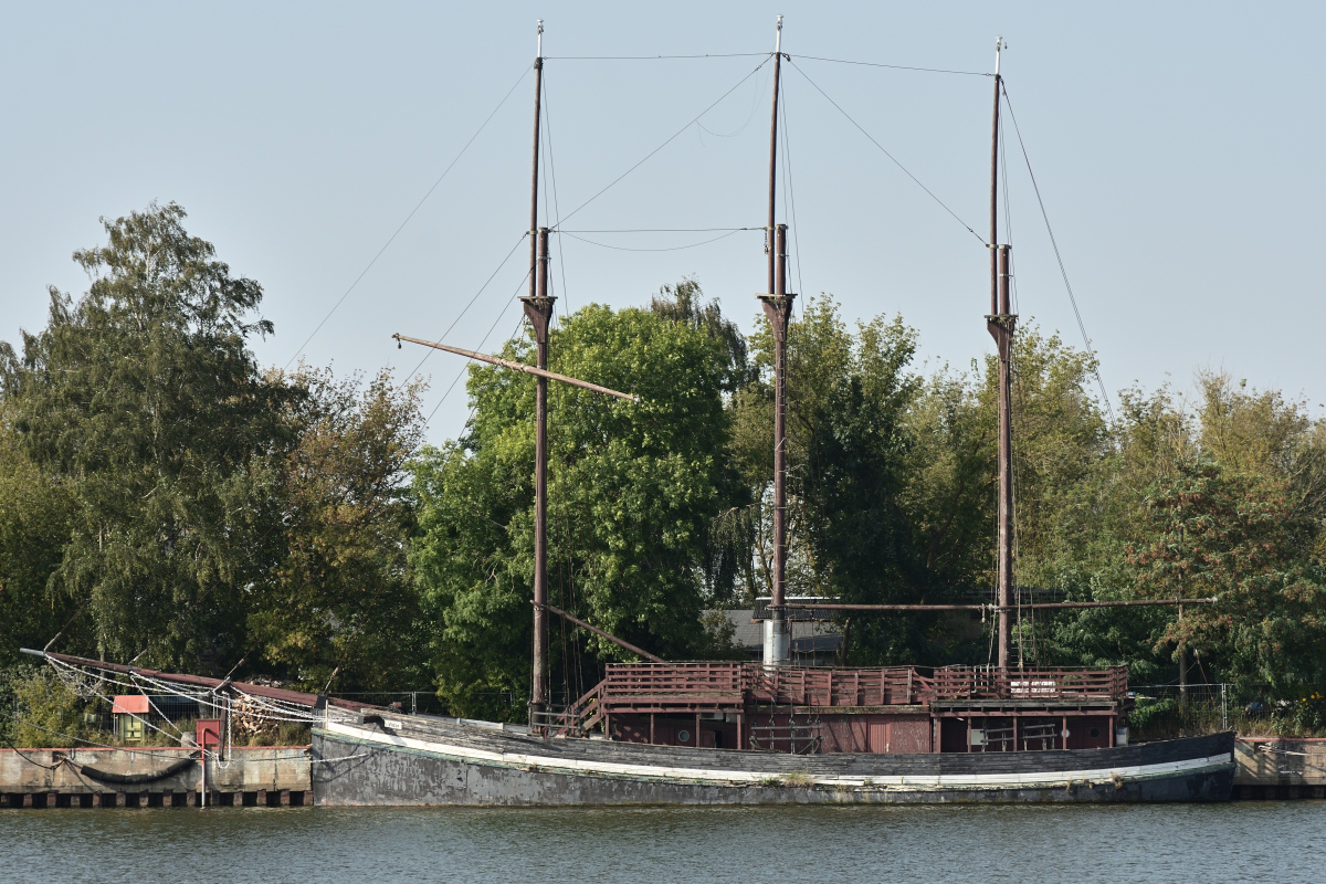 DSC_1529.JPG