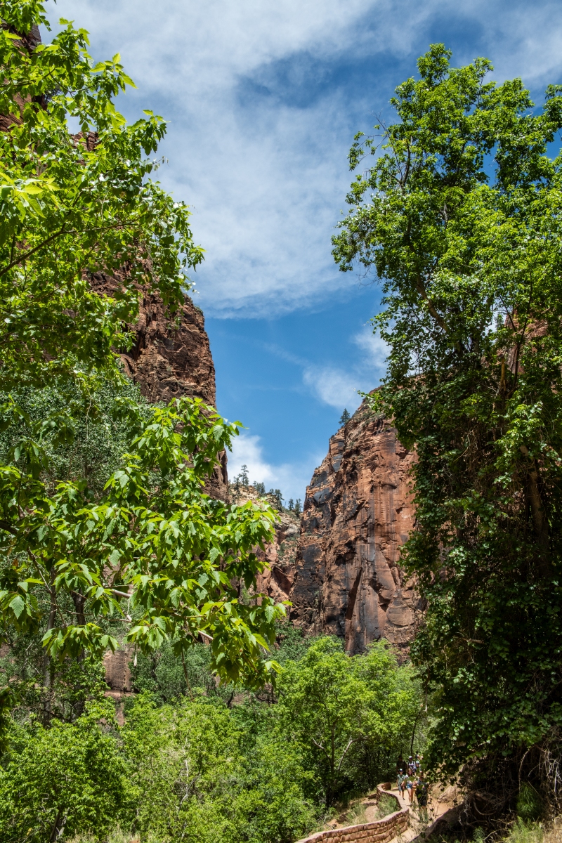 DSC_1548.jpg