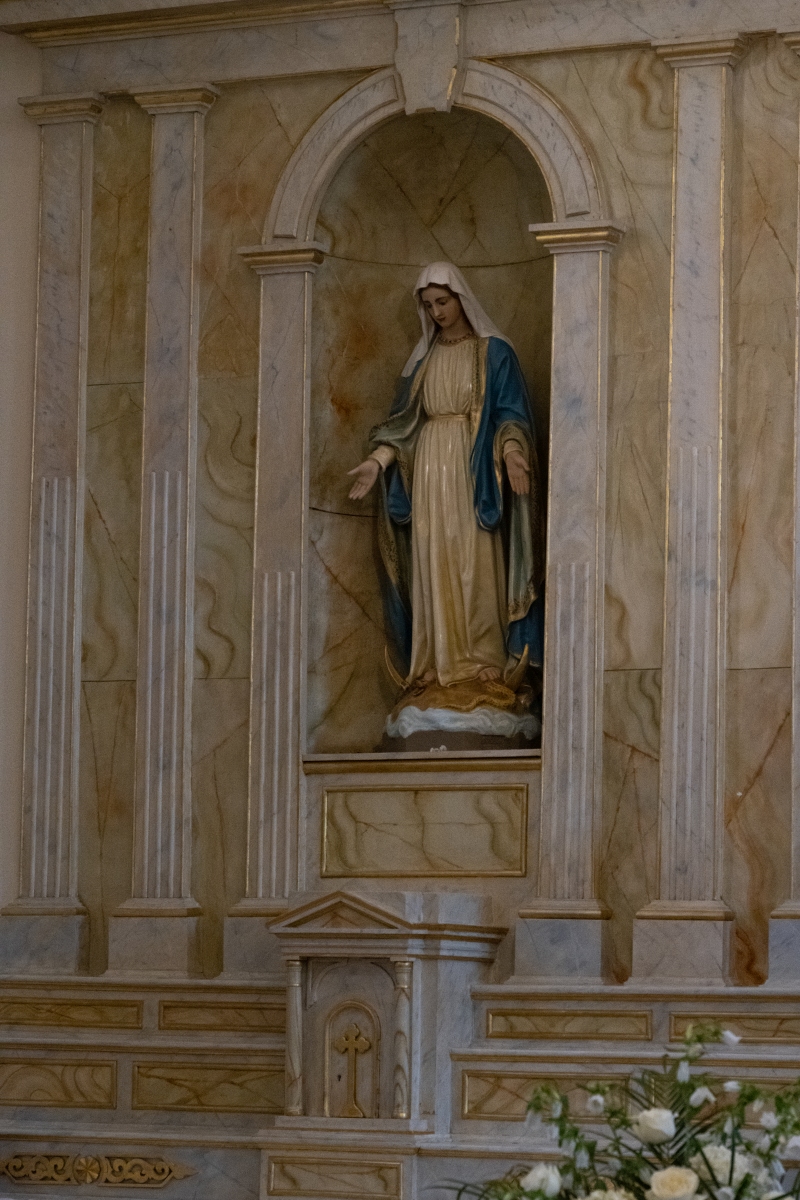 DSC_1554.jpg