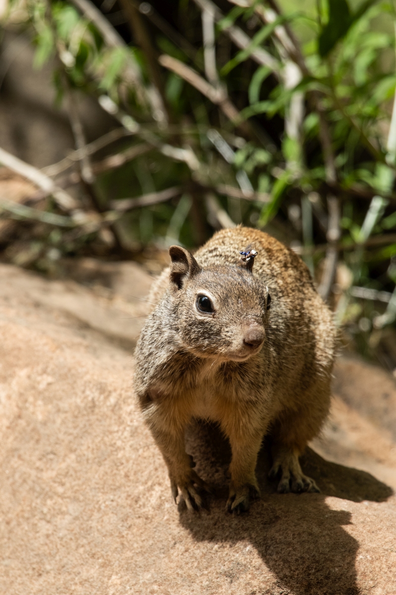 DSC_1569.jpg