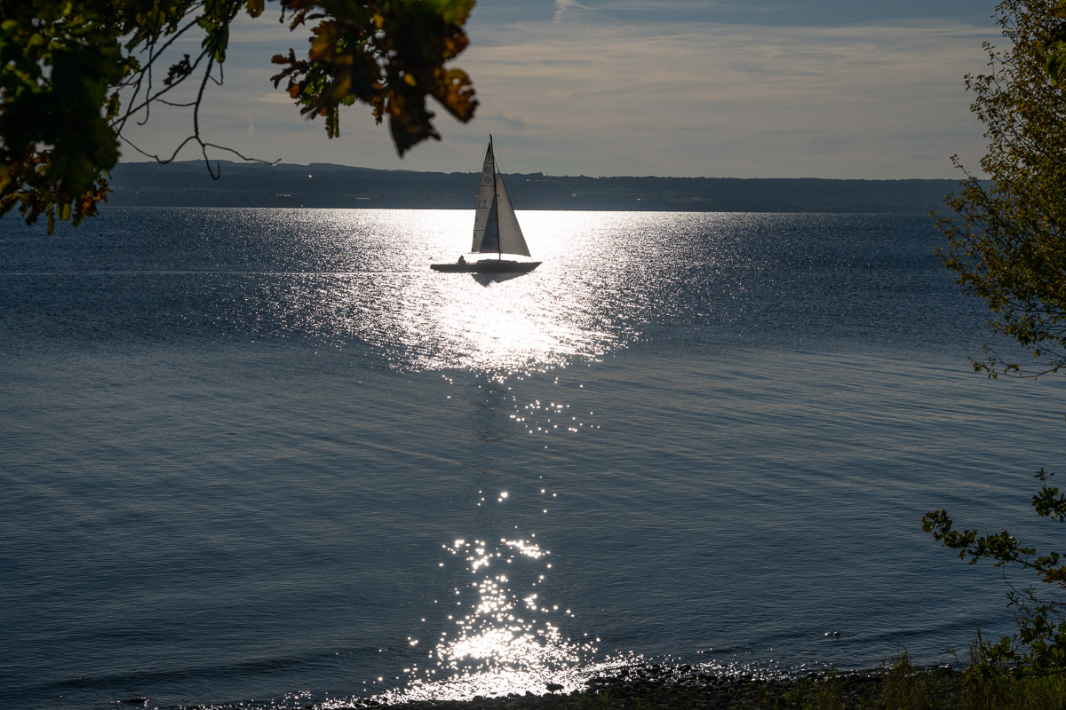 DSC_1572.jpg