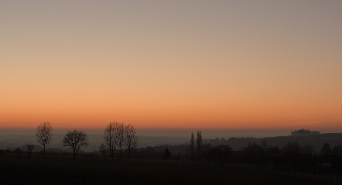 DSC_1587_00001_03 (3)n.jpg