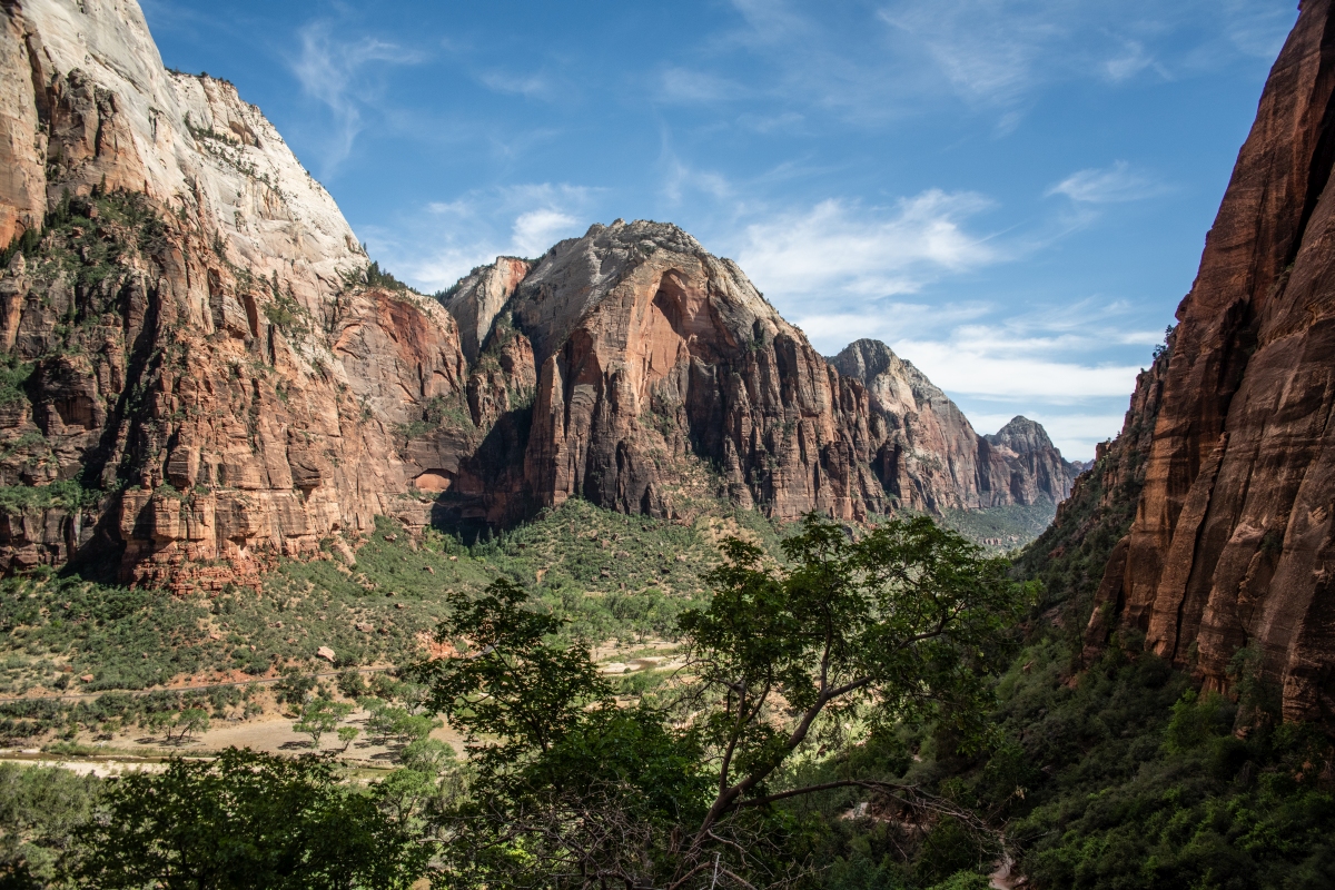 DSC_1603.jpg