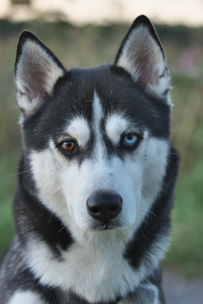 DSC_1623.jpg