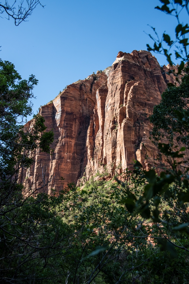 DSC_1629.jpg