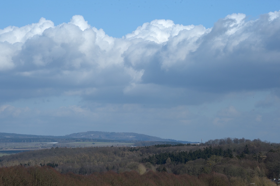 DSC_1661.jpg