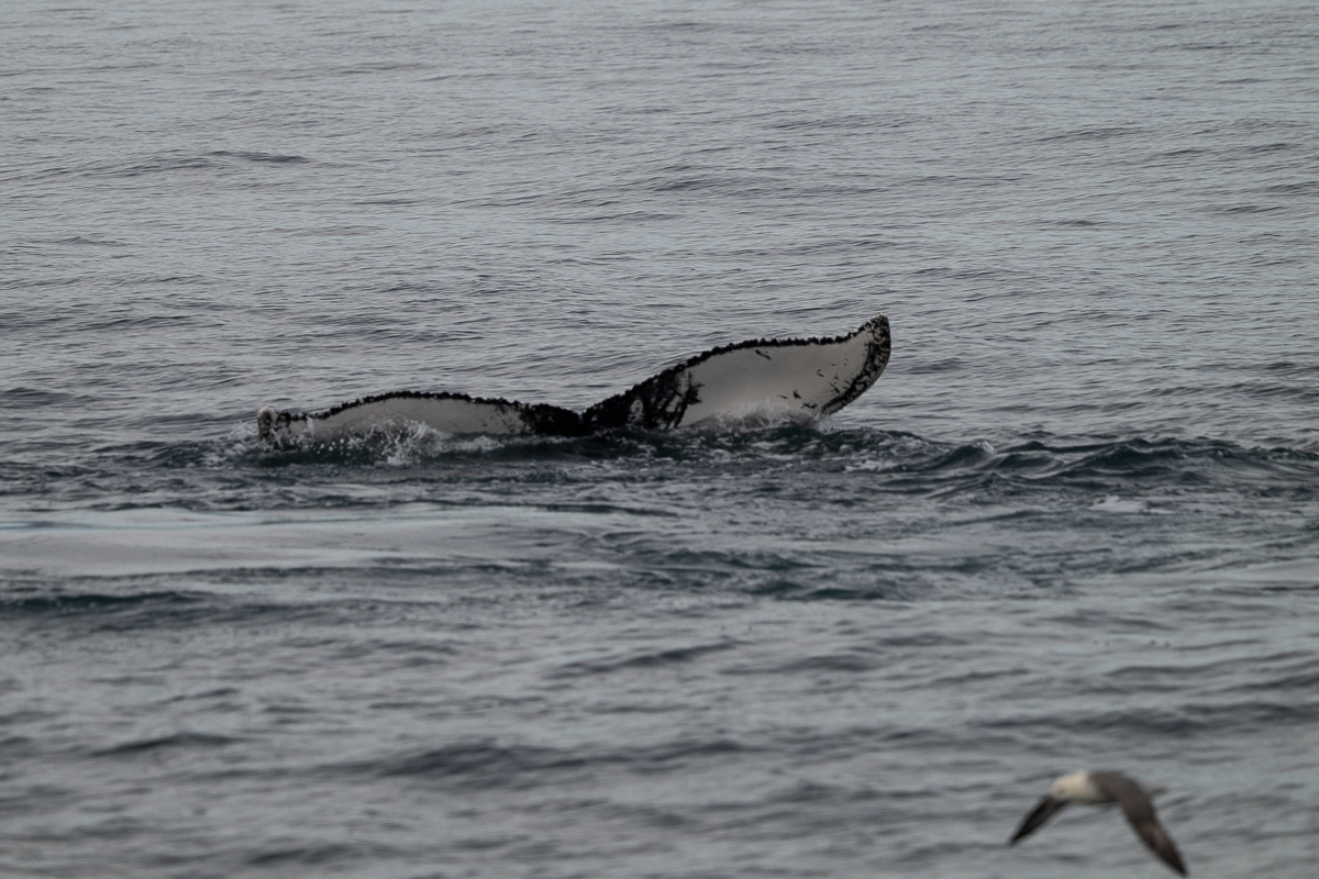DSC_1688.jpg
