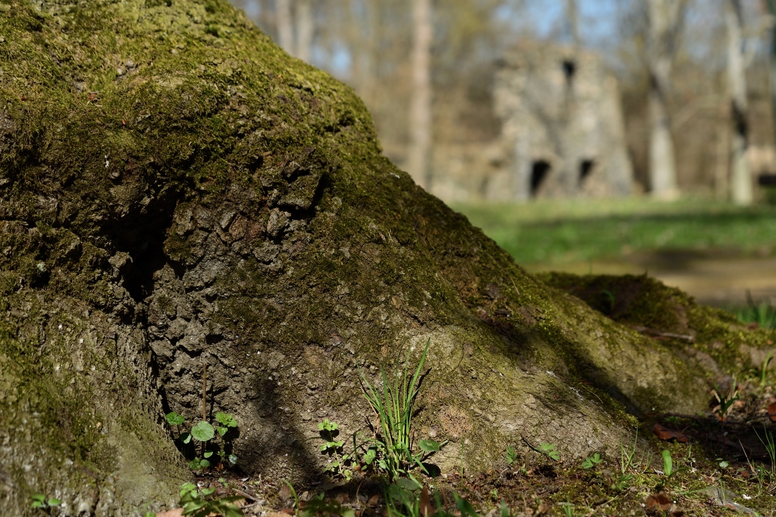 DSC_1689_00001n.jpg