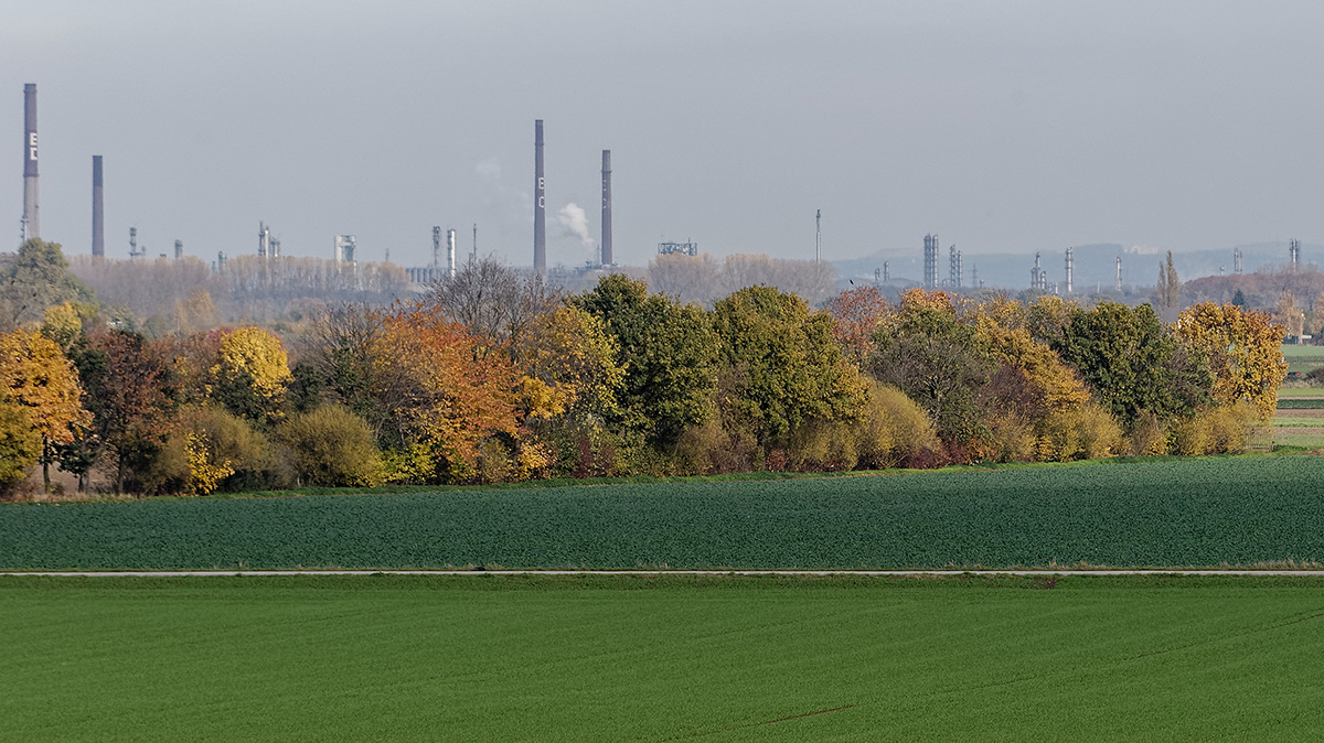 DSC_1694_DxoPxl.jpg