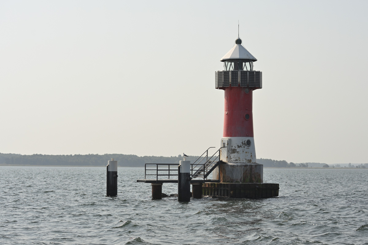 DSC_1711.JPG