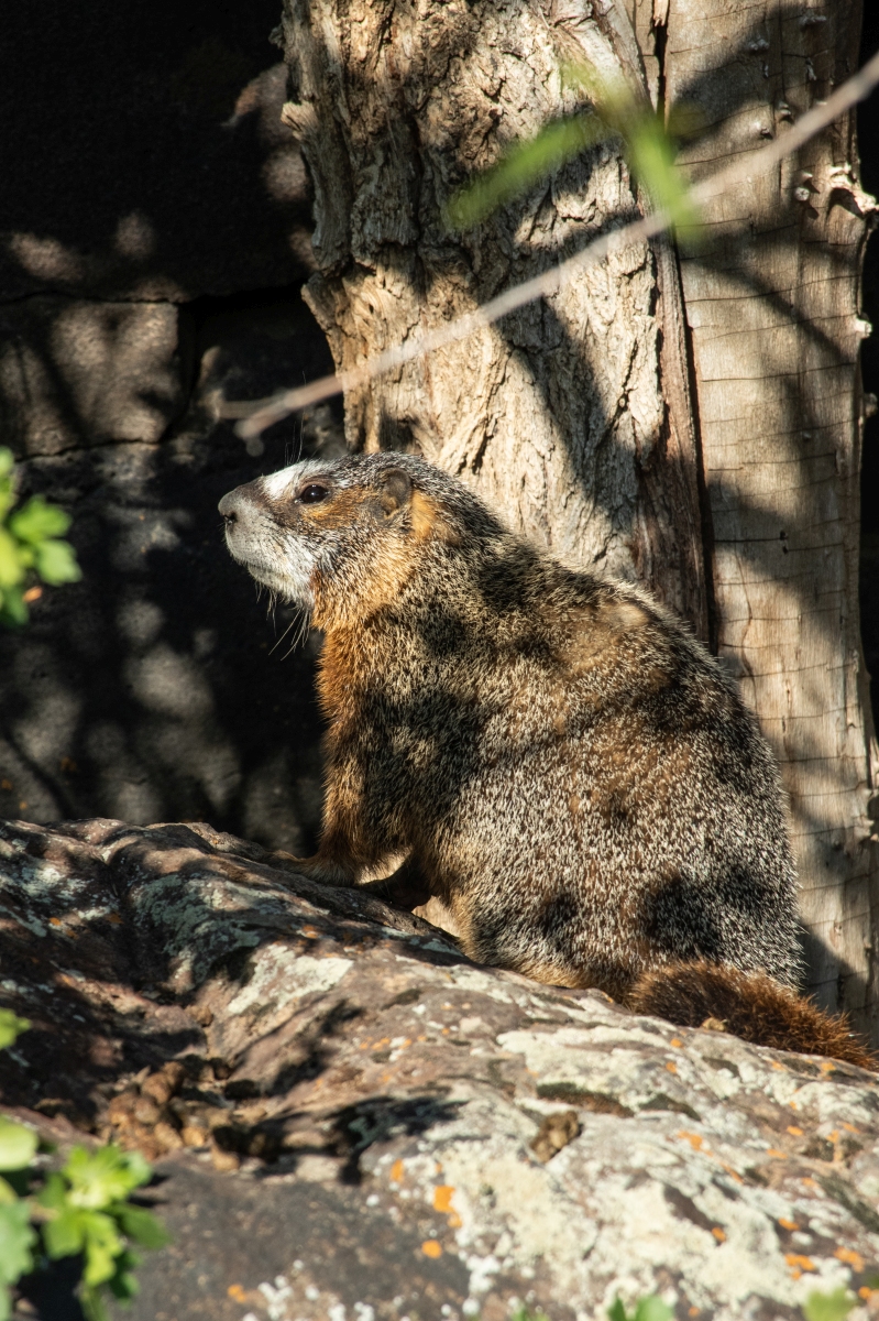 DSC_1762.jpg