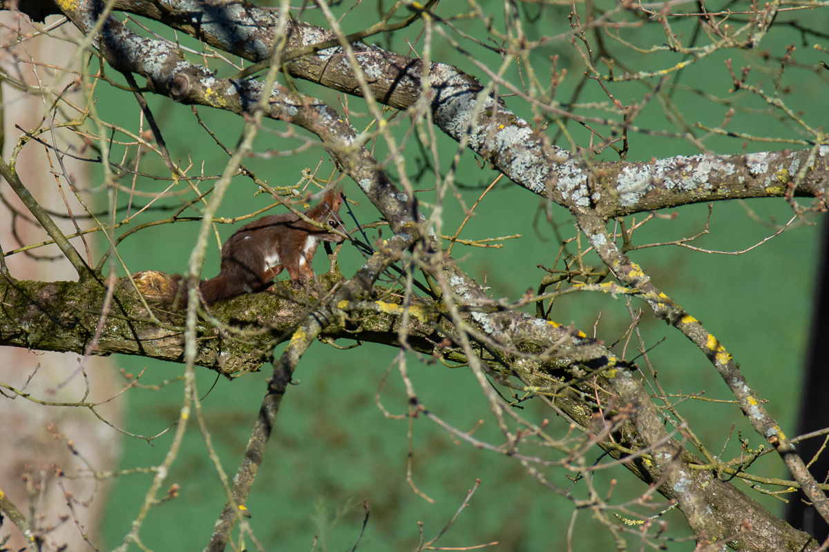 DSC_1772.jpg