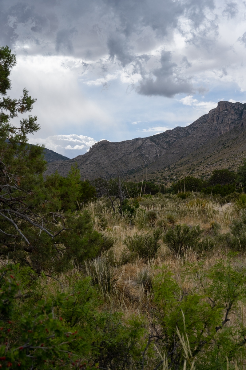 DSC_1772.jpg