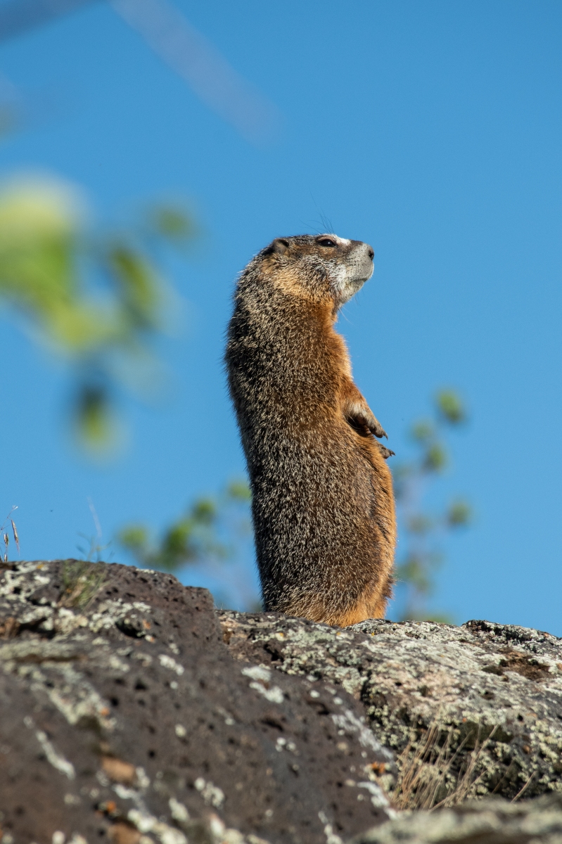 DSC_1777.jpg