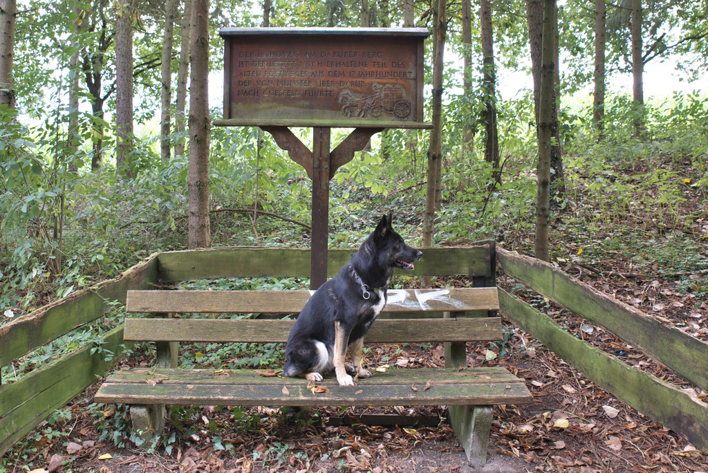 DSC_1778.jpg