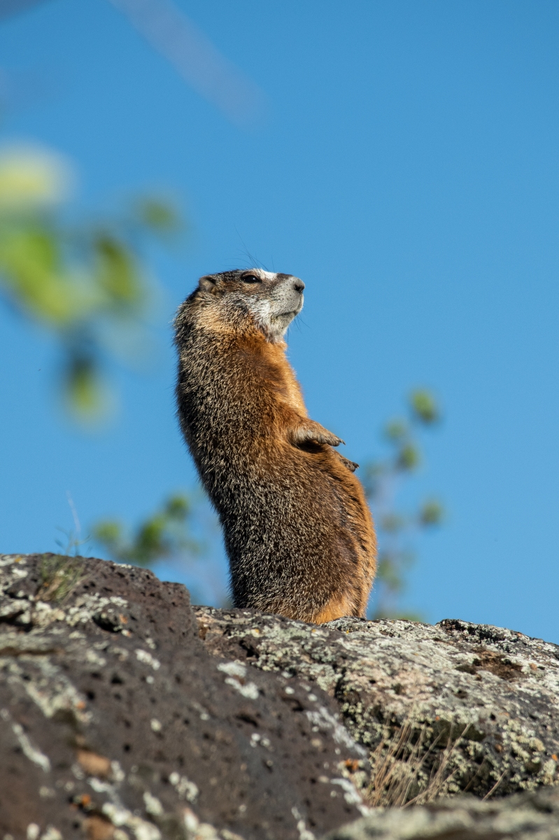 DSC_1778.jpg
